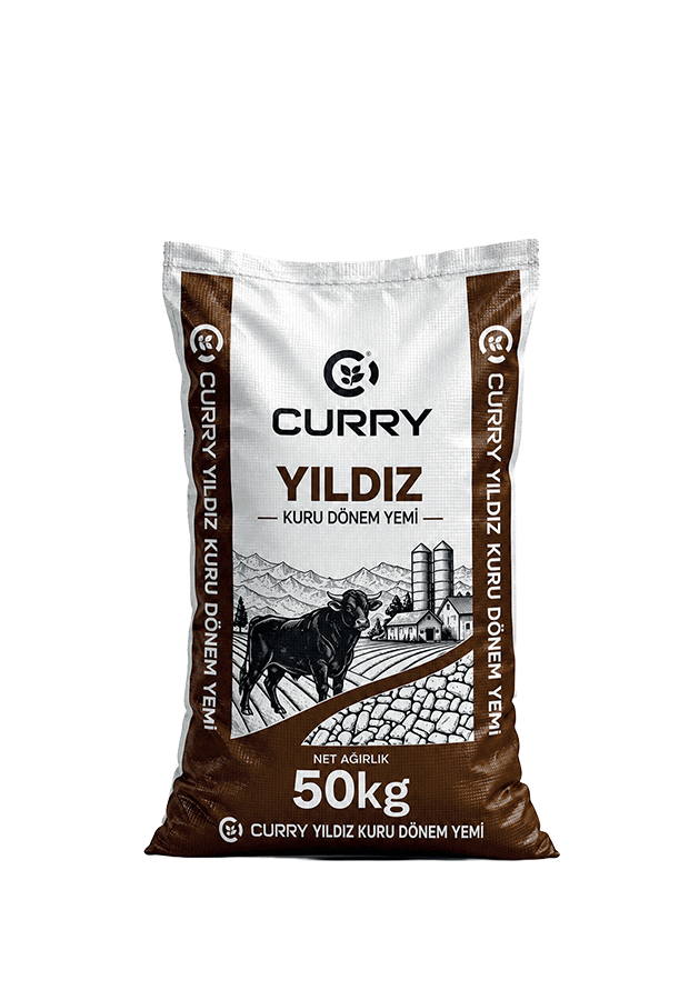 Yıldız Kuru Dönem Yemi