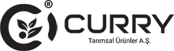 Öz Global